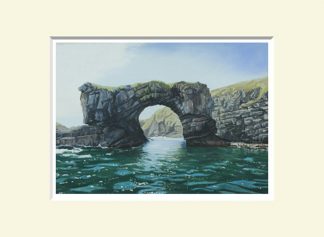Great Polle,t Fanad