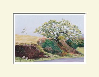 Glentogher, Inishowen