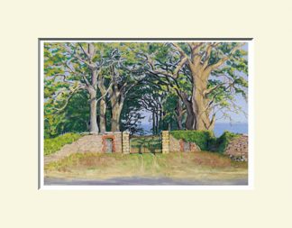 Whitecastle Gates, Inishowen