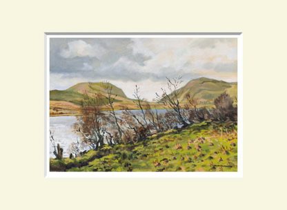 Barnesmore, South Donegal