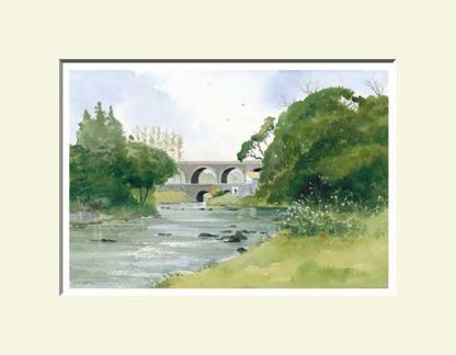 Randalstown Viaduct, Antrim Town and surrounds