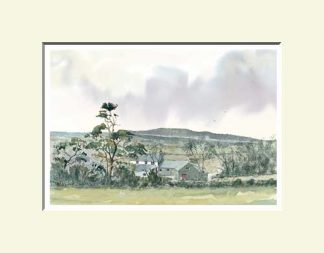 Tardree Forest, Antrim Town and surrounds