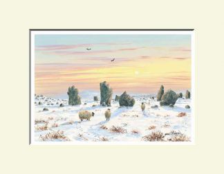 Beaghmore Stone Circles, Cookstown