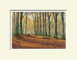 Beech Walk, Cookstown
