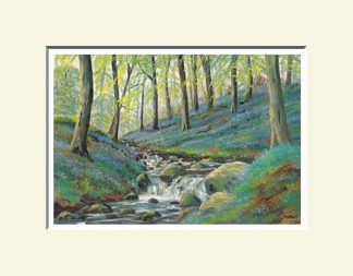 Bluebell Wood Pomeroy, Cookstown