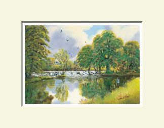 Coagh Weir, Cookstown