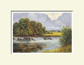 Drapersfield Weir, Cookstown