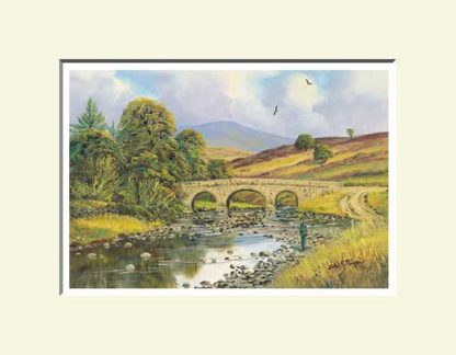 Goles Bridge, Cookstown