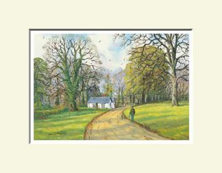 Springhill, Cookstown