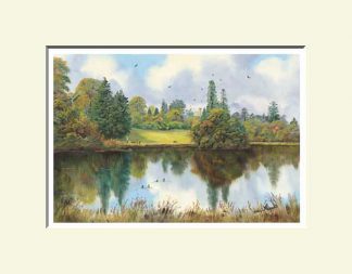 The Pond Drum Manor, Cookstown