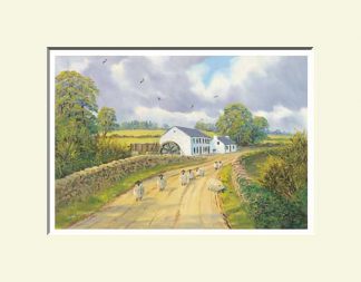 Wellbrook Beetling Mill, Cookstown