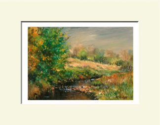 Foyle Print, River  Faughan