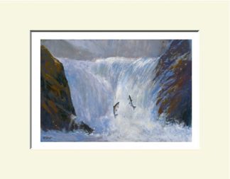 Foyle Print, Salmon Leap