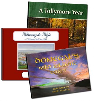 Illustrated Books (Ulster)