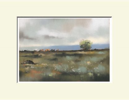 Garry Bog, North Antrim