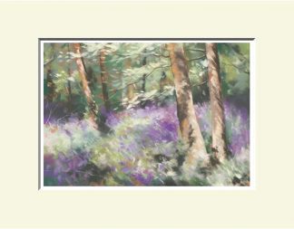 Woods near Broughshane, North Antrim