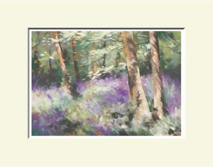 Woods near Broughshane, North Antrim