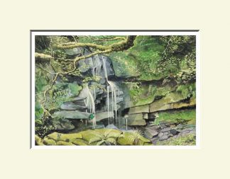 Sloughan Glen Drumquin, Omagh