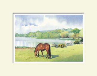 Glassdrummond Lake, Ring of Gullion