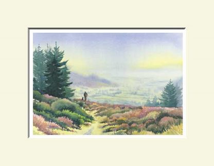 View From Slieve Gullion, Ring of Gullion
