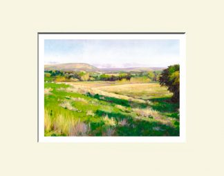 Roe Valley Print: Roe Valley from Artikelly