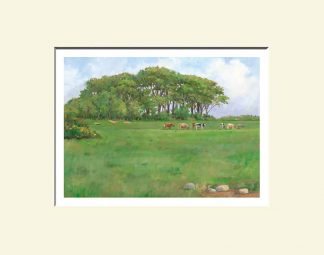 Roe Valley Print: Rough Fort Limavady