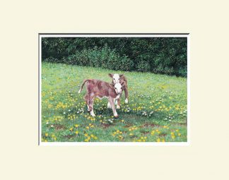 Fermanagh Print; Country Scene Mullanaskea