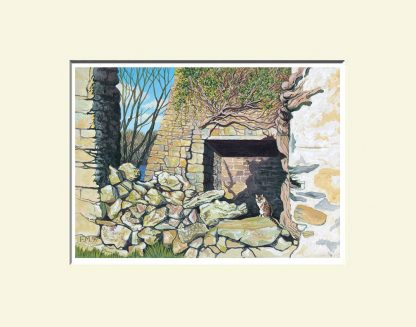 Fermanagh Print; Crevenish Castle Kesh