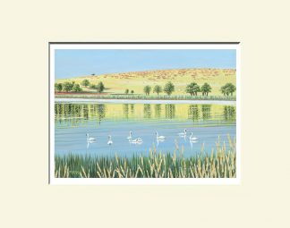 Fermanagh Print; Inishmacsaint