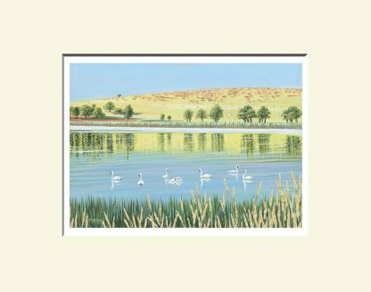 Fermanagh Print; Inishmacsaint