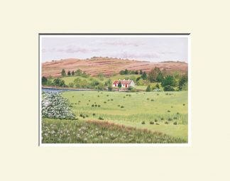 Fermanagh Print; Keenaghan Belleek