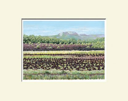 Fermanagh Print; Letterbreen