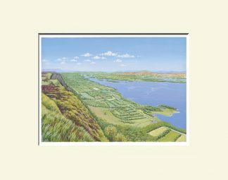 Fermanagh Print; Lough Navar Forest