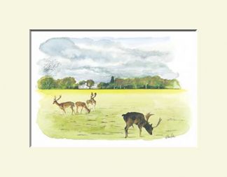 Blanchardstown Print, The Fifteen Acres