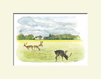 Blanchardstown Print, The Fifteen Acres