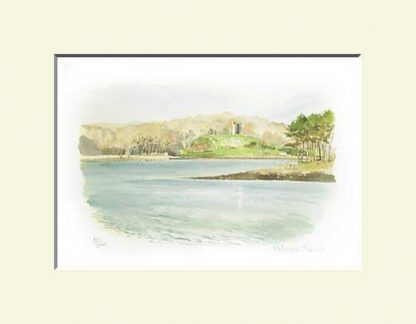 Strangford Print, Audleys Castle
